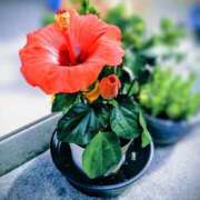 ヒメ日記 2025/10/10 10:35 投稿 なつみ 横浜おかあさん