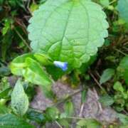 ヒメ日記 2025/10/16 08:18 投稿 なつみ 横浜おかあさん