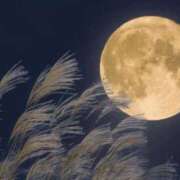 ヒメ日記 2025/10/09 11:14 投稿 秋乃みこ 五十路マダム 新潟店(カサブランカグループ)