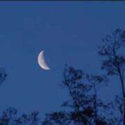 ヒメ日記 2025/10/14 23:56 投稿 秋乃みこ 五十路マダム 新潟店(カサブランカグループ)