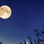 ヒメ日記 2025/10/17 14:52 投稿 秋乃みこ 五十路マダム 新潟店(カサブランカグループ)