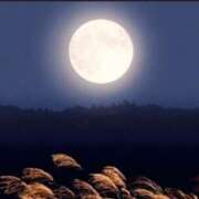 ヒメ日記 2025/10/17 14:56 投稿 秋乃みこ 五十路マダム 新潟店(カサブランカグループ)