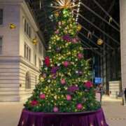 ヒメ日記 2025/12/08 17:16 投稿 秋乃みこ 五十路マダム 新潟店(カサブランカグループ)