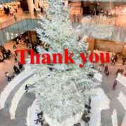 ヒメ日記 2025/12/09 00:42 投稿 秋乃みこ 五十路マダム 新潟店(カサブランカグループ)