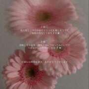 ヒメ日記 2025/10/12 00:41 投稿 美華 天空のマット