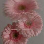 ヒメ日記 2025/11/04 09:11 投稿 美華 天空のマット