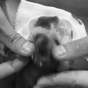 綾乃女王様 拡張の儀 クラブドミナ