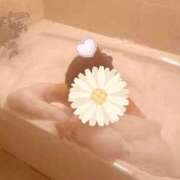 ヒメ日記 2025/10/22 22:27 投稿 本庄 香里奈 VECTRUS（ベクトラス）