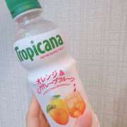 ヒメ日記 2025/11/03 06:38 投稿 本庄 香里奈 VECTRUS（ベクトラス）