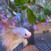 本庄 香里奈 怒ってる？ VECTRUS（ベクトラス）