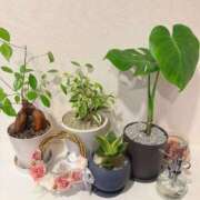 ヒメ日記 2026/03/05 17:29 投稿 本庄 香里奈 VECTRUS（ベクトラス）