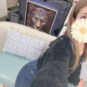 ヒメ日記 2026/03/06 11:30 投稿 本庄 香里奈 VECTRUS（ベクトラス）