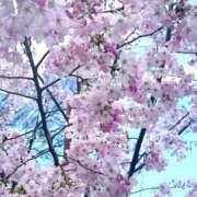 ヒメ日記 2026/03/30 18:32 投稿 本庄 香里奈 VECTRUS（ベクトラス）