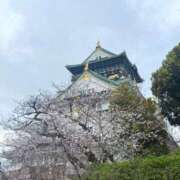 ヒメ日記 2026/04/06 14:15 投稿 本庄 香里奈 VECTRUS（ベクトラス）