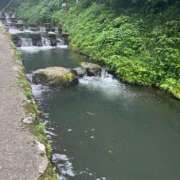 ヒメ日記 2026/05/11 14:53 投稿 本庄 香里奈 VECTRUS（ベクトラス）