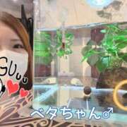 本庄 香里奈 かわいい〜♡ VECTRUS（ベクトラス）