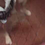 ヒメ日記 2025/10/26 17:45 投稿 トイ【FG系列】 オトナdeフィーリングin立川(FG系列)