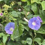 ヒメ日記 2025/10/11 12:04 投稿 みこ 熟女の風俗最終章 宇都宮店