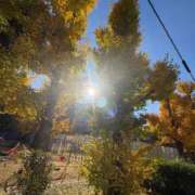 ヒメ日記 2025/12/06 19:19 投稿 片瀬 留衣 VECTRUS（ベクトラス）