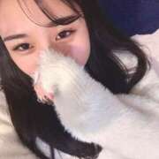 ヒメ日記 2025/12/19 14:31 投稿 片瀬 留衣 VECTRUS（ベクトラス）