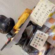 ヒメ日記 2025/12/20 11:52 投稿 片瀬 留衣 VECTRUS（ベクトラス）