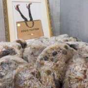 ヒメ日記 2025/12/21 19:45 投稿 片瀬 留衣 VECTRUS（ベクトラス）