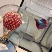 ヒメ日記 2025/12/30 22:56 投稿 片瀬 留衣 VECTRUS（ベクトラス）