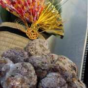 ヒメ日記 2025/12/31 15:12 投稿 片瀬 留衣 VECTRUS（ベクトラス）