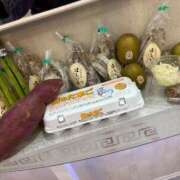 ヒメ日記 2026/04/06 18:15 投稿 片瀬 留衣 VECTRUS（ベクトラス）