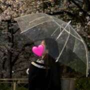 ヒメ日記 2026/04/14 02:00 投稿 片瀬 留衣 VECTRUS（ベクトラス）