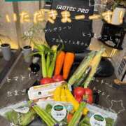 ヒメ日記 2026/05/24 19:16 投稿 片瀬 留衣 VECTRUS（ベクトラス）