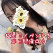 ヒメ日記 2026/08/02 13:56 投稿 片瀬 留衣 VECTRUS（ベクトラス）