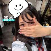 ヒメ日記 2026/09/01 00:04 投稿 片瀬 留衣 VECTRUS（ベクトラス）