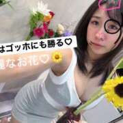 ヒメ日記 2026/09/17 18:48 投稿 片瀬 留衣 VECTRUS（ベクトラス）