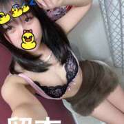 ヒメ日記 2026/10/05 02:50 投稿 片瀬 留衣 VECTRUS（ベクトラス）