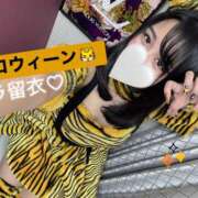 片瀬 留衣 ハロウィンイベント♡ VECTRUS（ベクトラス）