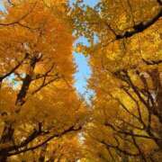 ヒメ日記 2025/11/26 10:25 投稿 最上 みちる VECTRUS（ベクトラス）