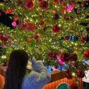 ヒメ日記 2025/12/24 14:43 投稿 最上 みちる VECTRUS（ベクトラス）