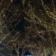 ヒメ日記 2025/12/26 23:03 投稿 最上 みちる VECTRUS（ベクトラス）