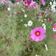 ヒメ日記 2025/10/14 14:18 投稿 ちえみ 京橋熟女