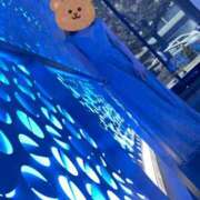 ヒメ日記 2025/11/17 08:53 投稿 北川麗 プレジデントクラブ