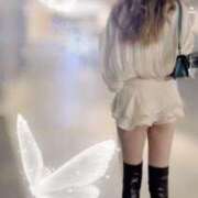 ヒメ日記 2025/11/28 12:45 投稿 北川麗 プレジデントクラブ