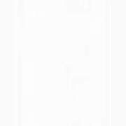 ヒメ日記 2025/12/20 05:51 投稿 あめ 熟女の風俗最終章 宇都宮店