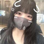 ヒメ日記 2025/11/25 23:11 投稿 うり わんだふる