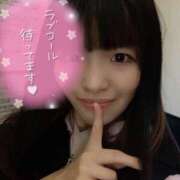 うり 月が綺麗だよ わんだふる