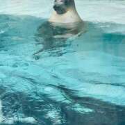 ヒメ日記 2025/10/09 12:25 投稿 ちひろ ノーブラで誘惑する奥さん谷九・日本橋