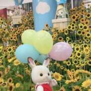 ヒメ日記 2025/12/10 17:00 投稿 松岡　あかね プルプル京都性感エステ　はんなり