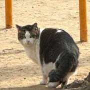 ヒメ日記 2026/03/26 19:19 投稿 松岡　あかね プルプル京都性感エステ　はんなり