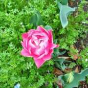 久保じゅん お？！ 川崎南町 素敵な奥様（川崎ハレ系）