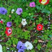 久保じゅん 〜*・３月15日(日)・*〜 川崎南町 素敵な奥様（川崎ハレ系）